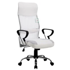 Garden Store 25 Sleek Design High Back Mesh Fabric Swivel Office Chair With Chrome Base, MO57 White