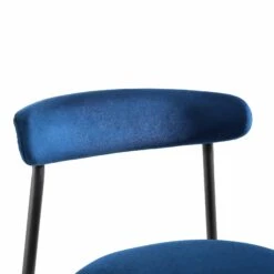 Donna Set Of 2 Navy Blue Velvet Dining Chairs -Garden Store DCH 2149 NAVY VEL 2P detail1
